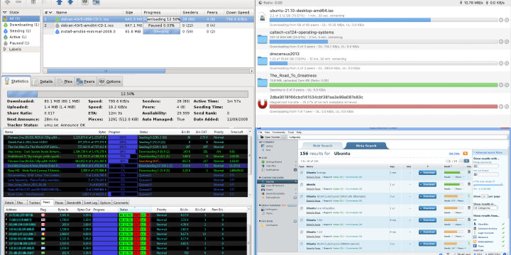 Alternative Torrent Clients: Exploring Safer Options Alternative Torrent Clients: Exploring Safer Options